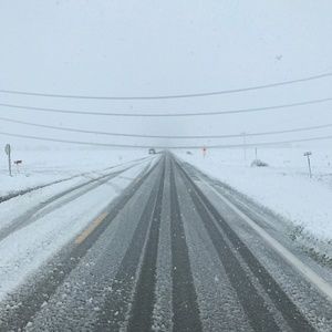 Meet your Posher, Peg